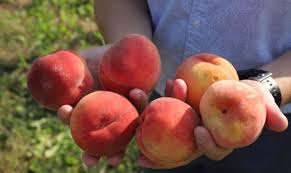 персик
